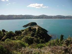 North End Matiu/Somes Island